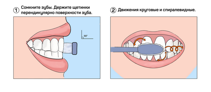 Метод чистки зубов по Фонесу