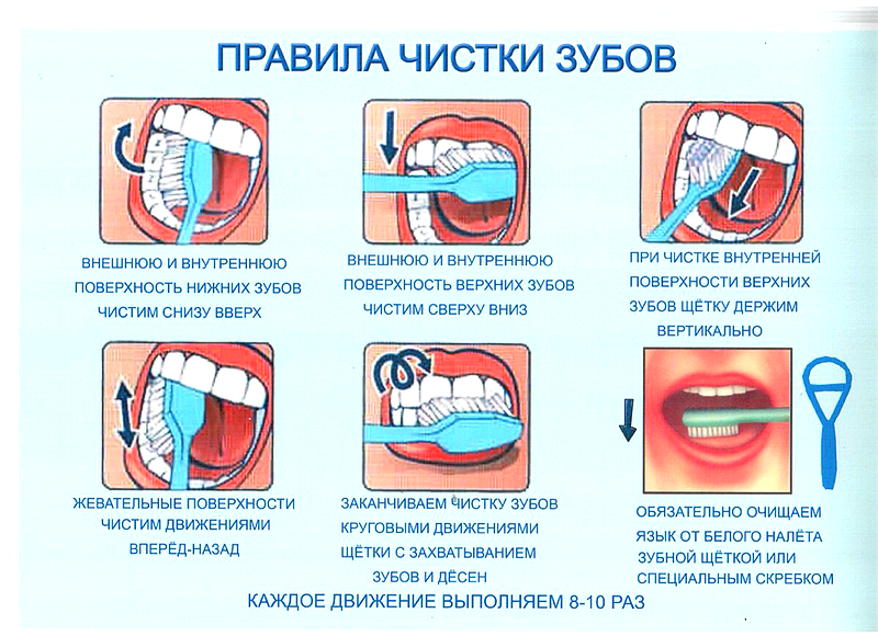 Основные 7 правил чистки зубов